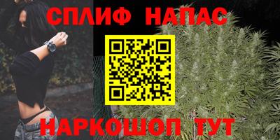 ГАЛЛЮЦИНОГЕННЫЕ ГРИБЫ Обь