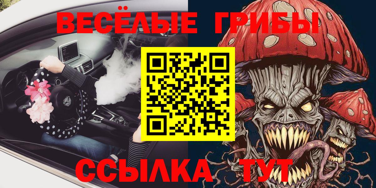 Ставрополь  цены наркотик  Галлюциногенные грибы мухоморы  Вход с VPN  Псилоцибиновые грибы GOLDEN TEACHER 