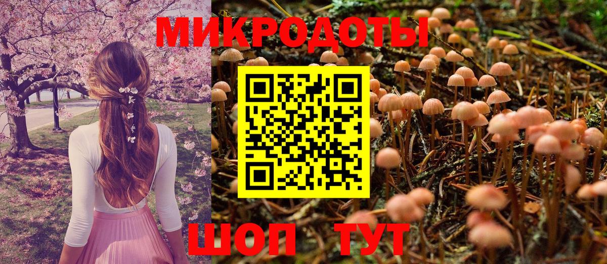 Псилоцибиновые грибы Magic Shrooms Ставрополь